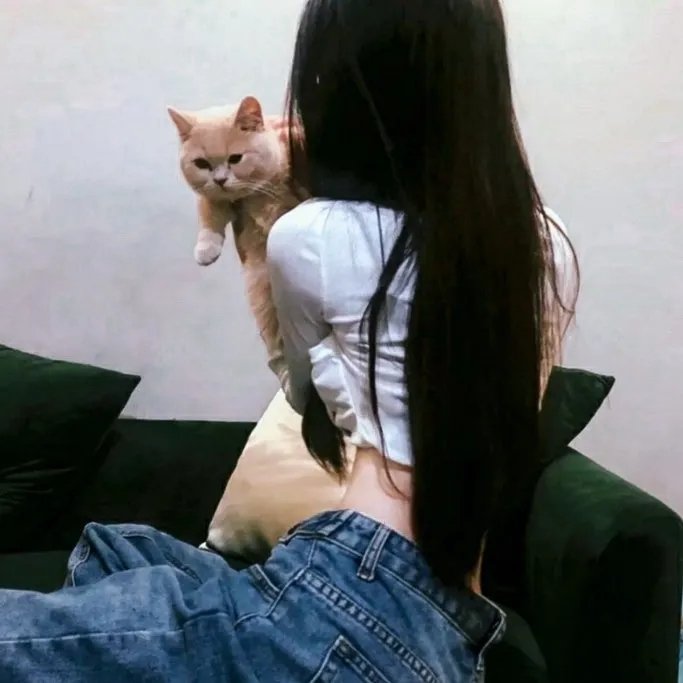 禁宫魅影